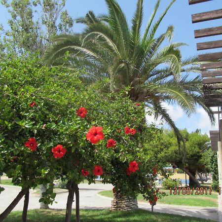 Apartament Hacienda Bellamar San Pedro del Pinatar Zewnętrze zdjęcie